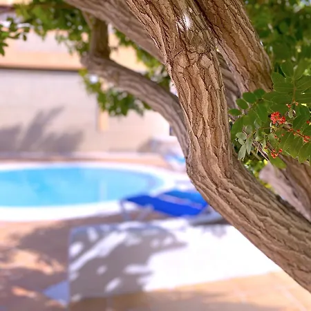 Tropicalidays Altos Del Roque 아데제